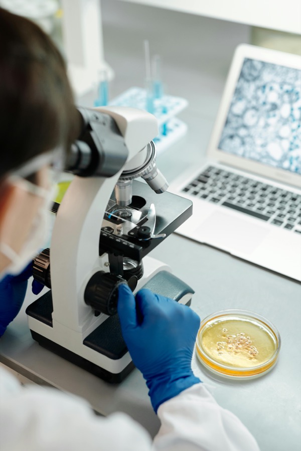 Researcher at microscope